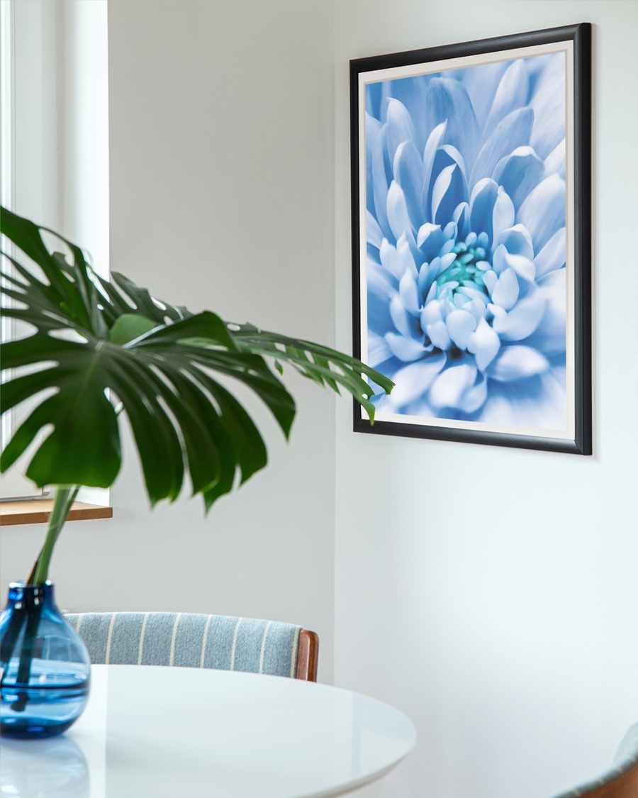 A poster of a Close‑up blue flower with soft petals