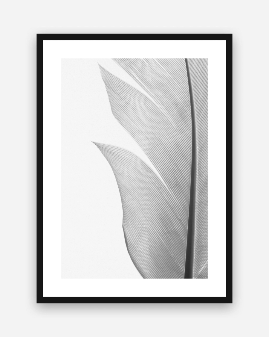 Silver Quill poster with a white border in a black frame