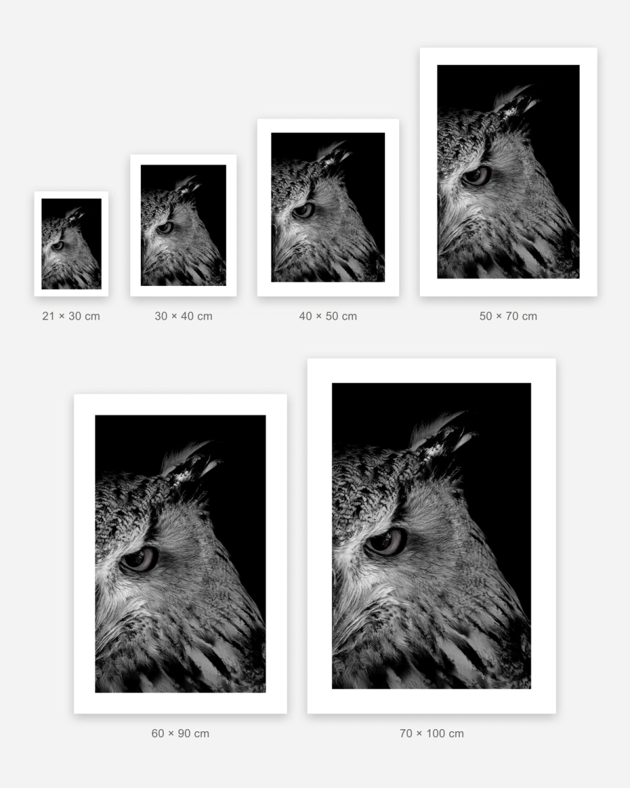 Owl in Shadow poster in 6 sizes, shown to scale: 21 × 30, 30 × 40, 40 × 50, 50 × 70, 60 × 90 and 70 × 100 cm