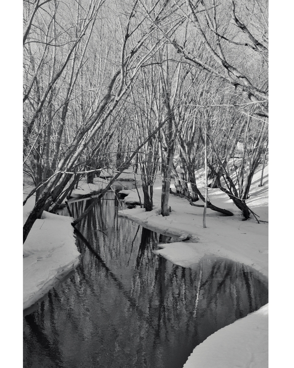 Black and white winter stream through bare trees