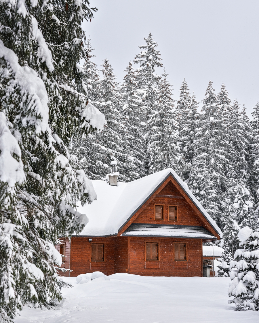 Cozy wooden cabin surrounded by snowy pine forest