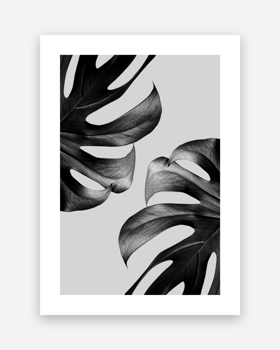 Monstera Noir poster with a white border, unframed on a light gray background