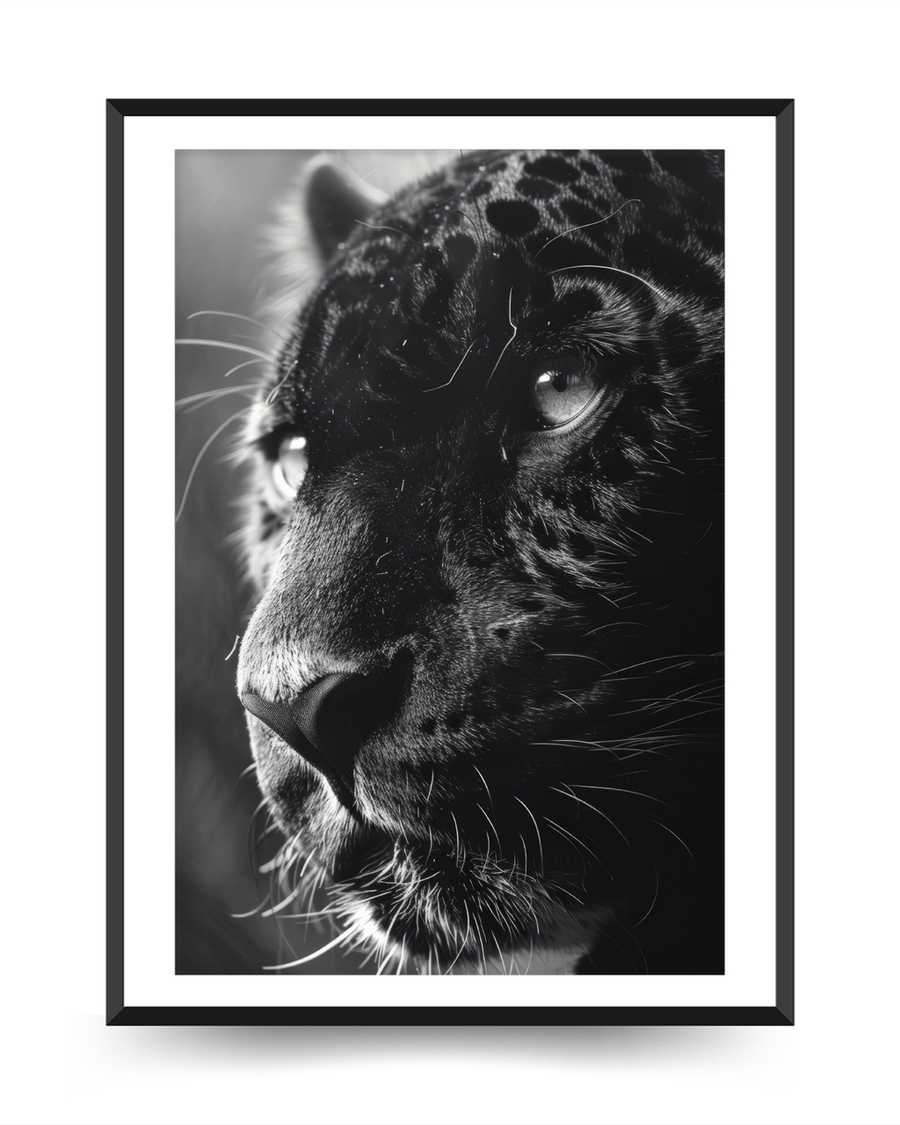 A poster of a Black and white leopard close up portrait