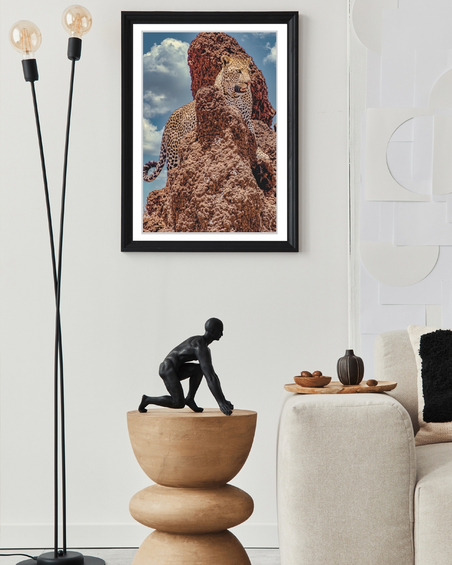 A poster of  a Leopard standing on rugged rocks under sky