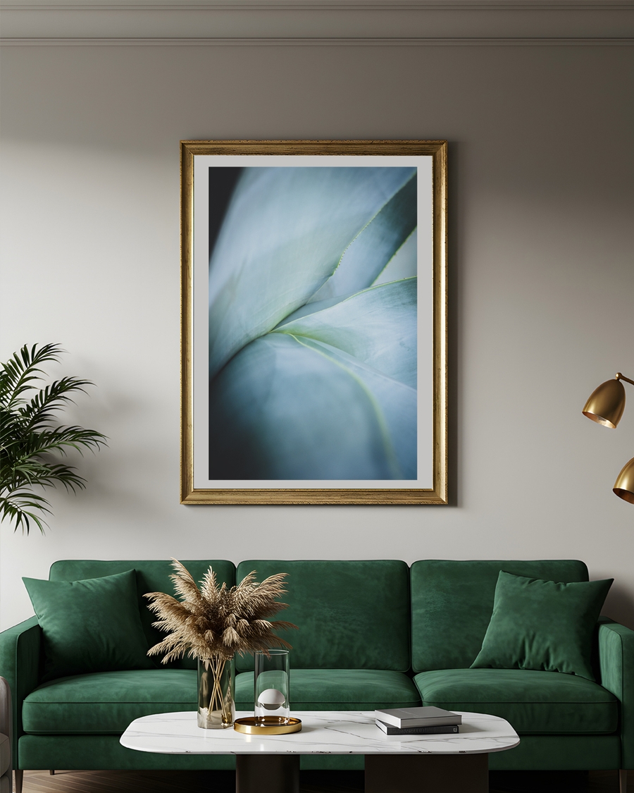 A poster of a Soft blue green succulent leaves in close up
