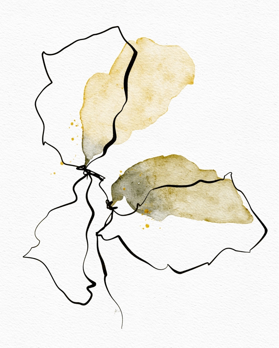 Minimal line drawing of leaf shapes with ochre and olive watercolor washes on white paper