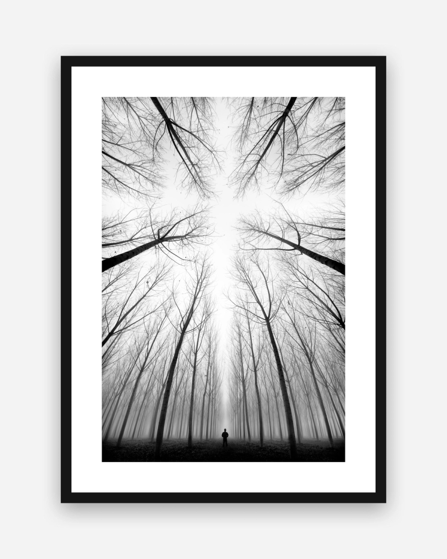 Beneath Bare Branches poster with a white border in a black frame