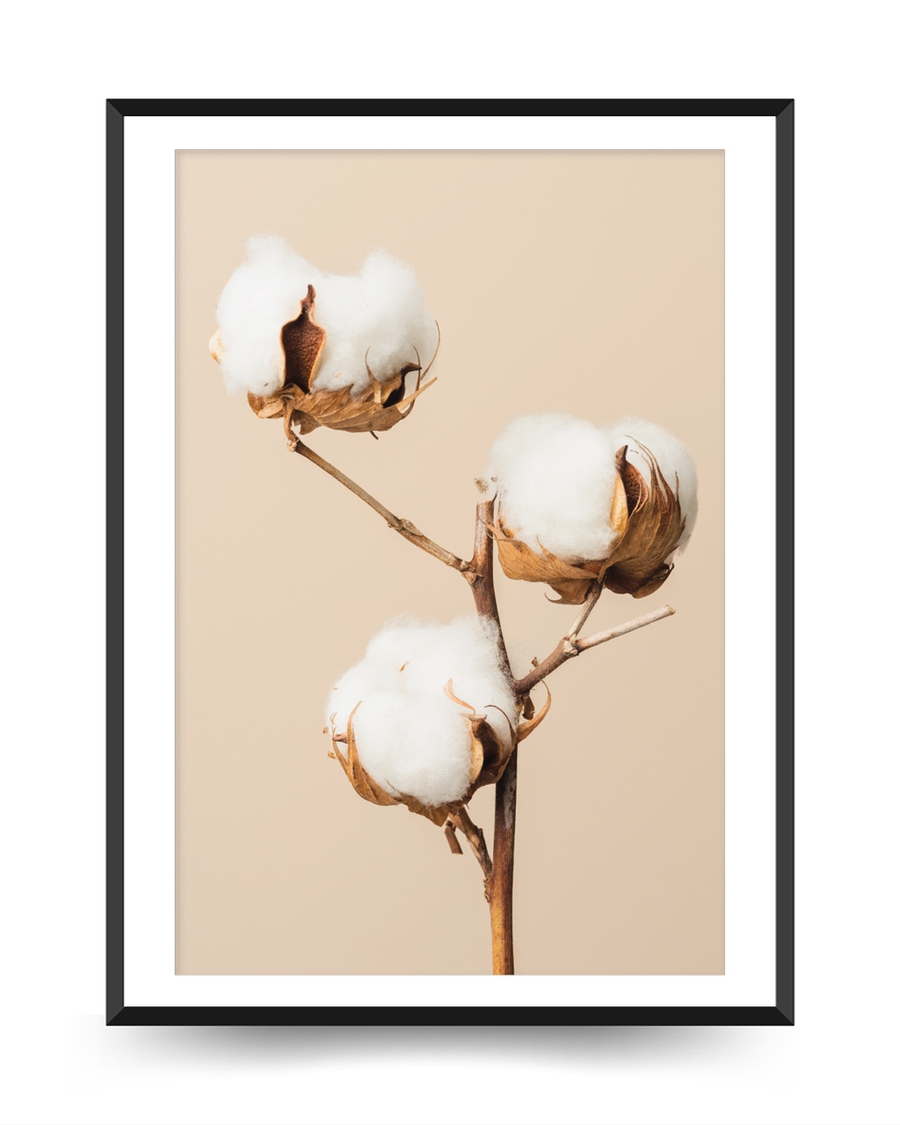 A poster of a Cotton plant branch with white blooms on beige background
