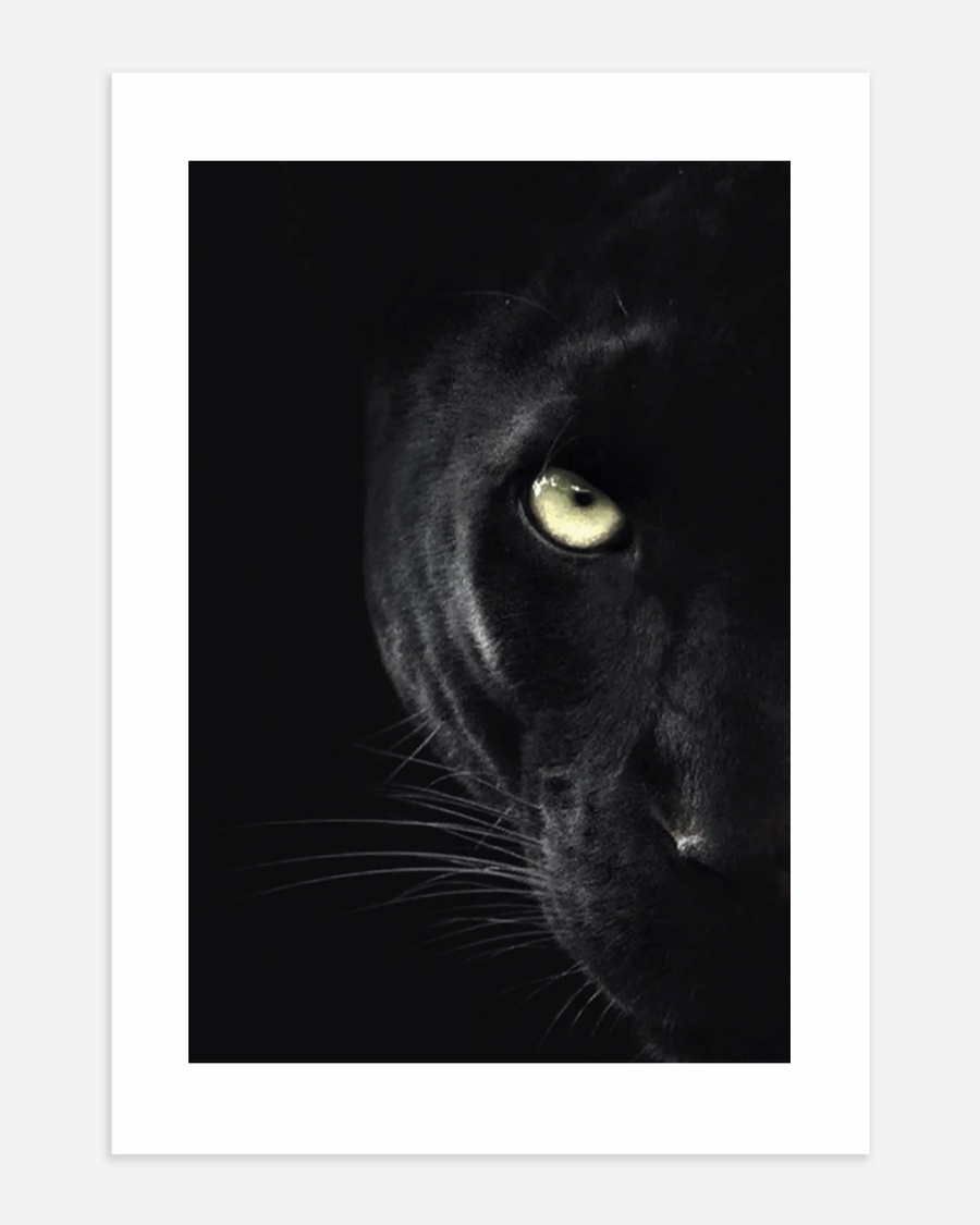 A poster of a Black panther face emerging from dark shadows