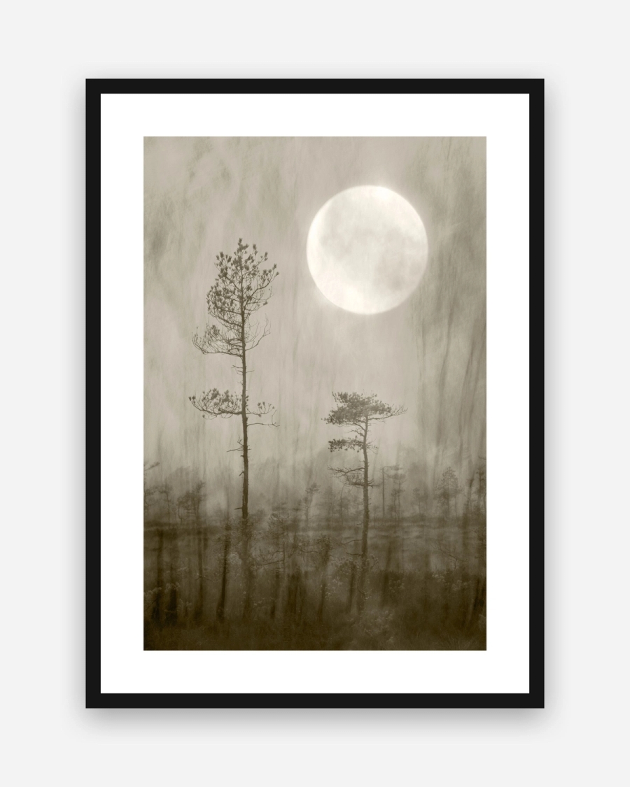 Moonlit Pines poster with a white border in a black frame