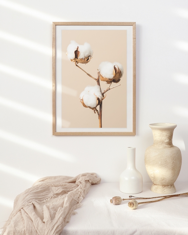 A poster of a Cotton plant branch with white blooms on beige background