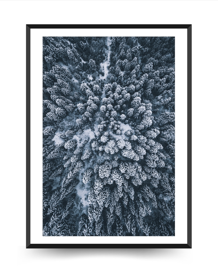 A poster of a Snow covered forest seen from above in winter