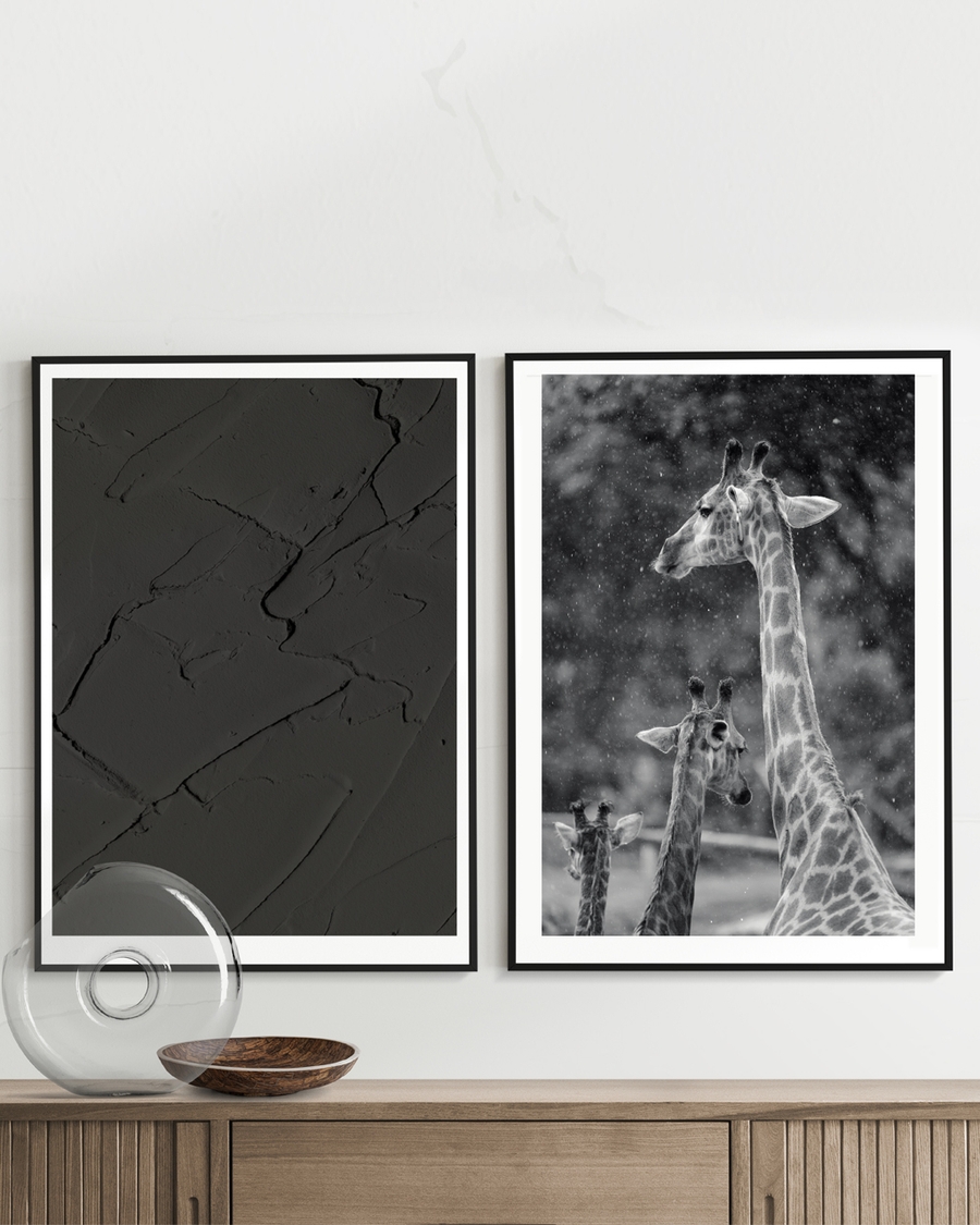 A poster of a Giraffes standing in falling snow with soft blurred background