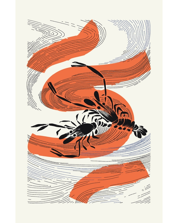 Graphic lobster illustration with flowing orange brush strokes