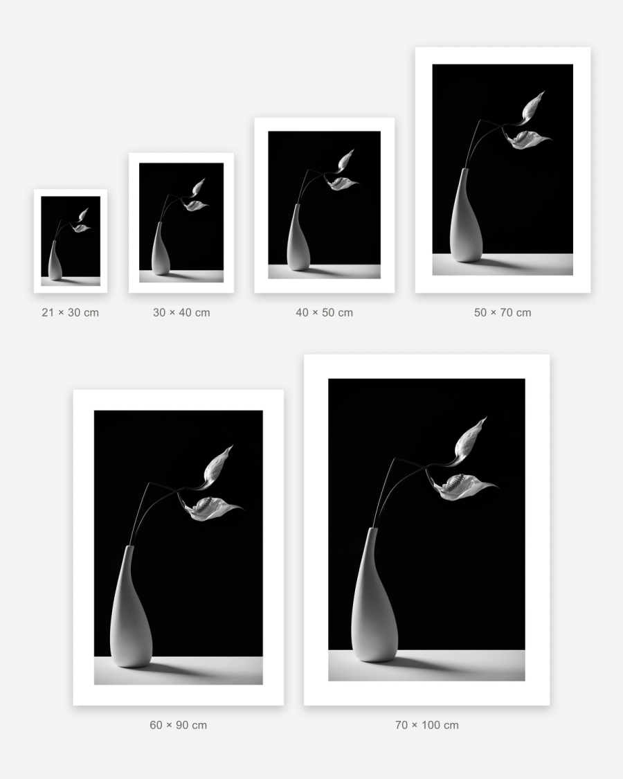 Porcelain Lily poster in 6 sizes, shown to scale: 21 × 30, 30 × 40, 40 × 50, 50 × 70, 60 × 90 and 70 × 100 cm