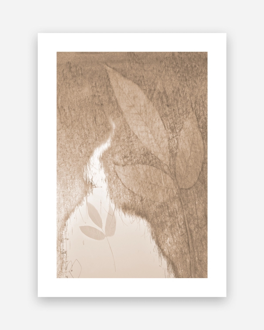 Sepia Leaf Veil poster with a white border, unframed on a light gray background