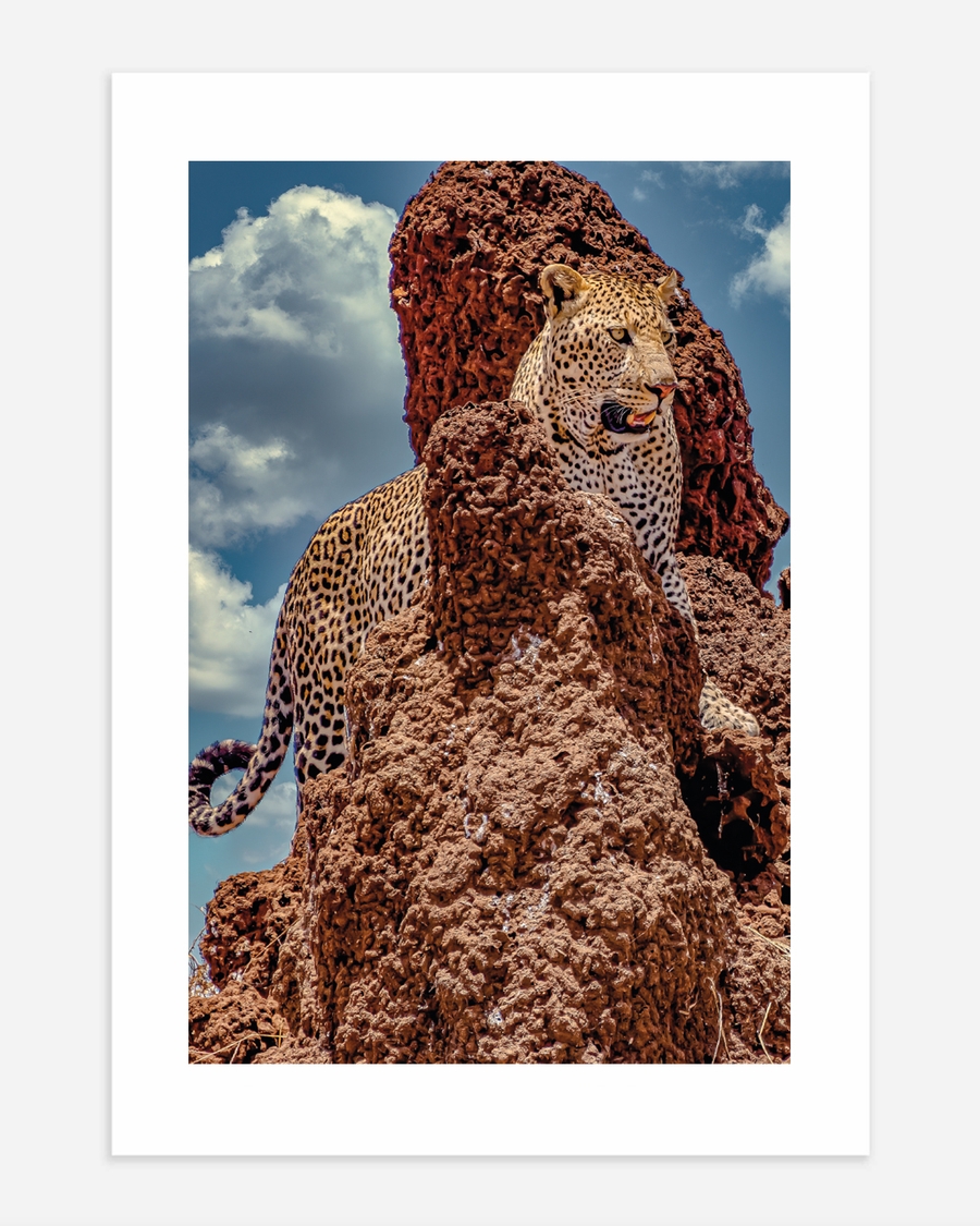 A poster of  a Leopard standing on rugged rocks under sky