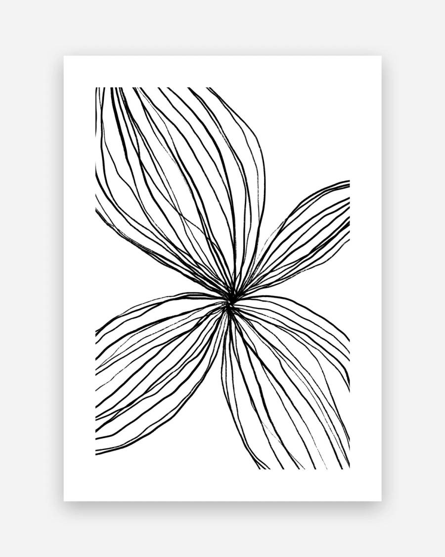 Petal Lines poster with a white border, unframed on a light gray background