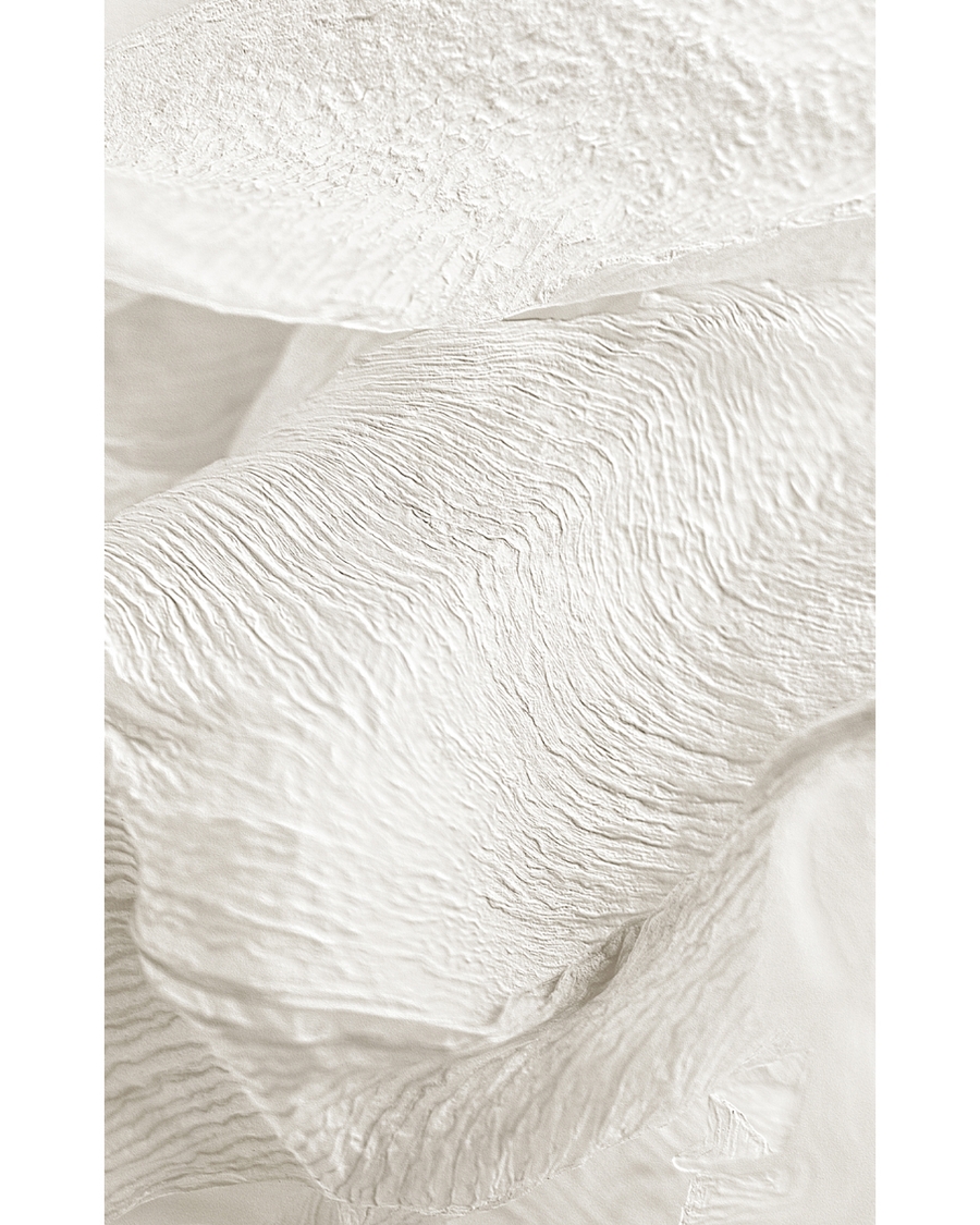 Close-up of textured dried lily petals in beige tones.