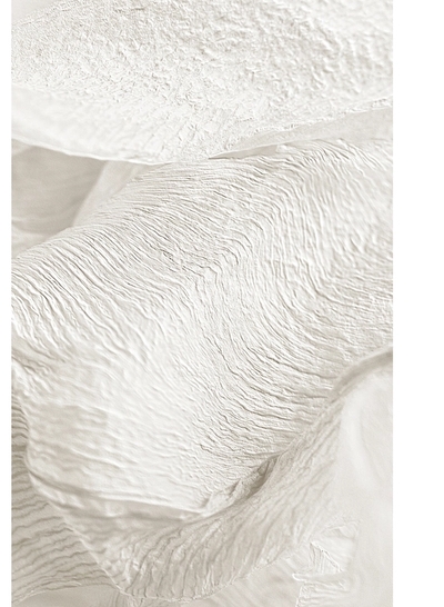 Close-up of textured dried lily petals in beige tones.
