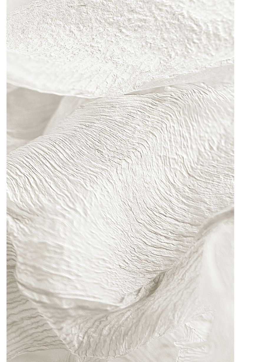 Close-up of textured dried lily petals in beige tones.