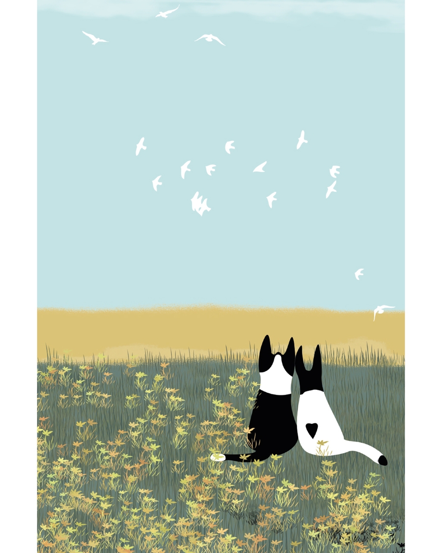 Illustrated cats lying in field watching birds