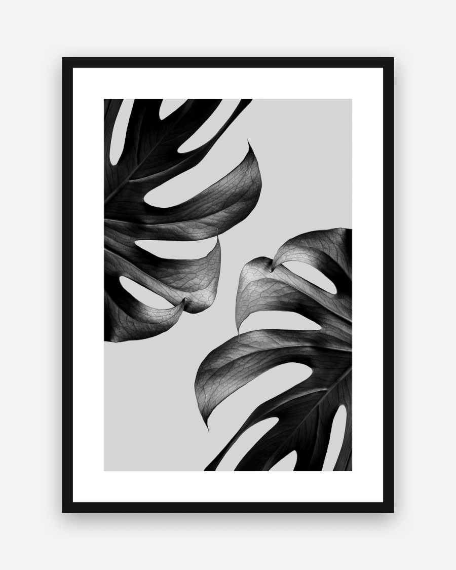 Monstera Noir poster with a white border in a black frame