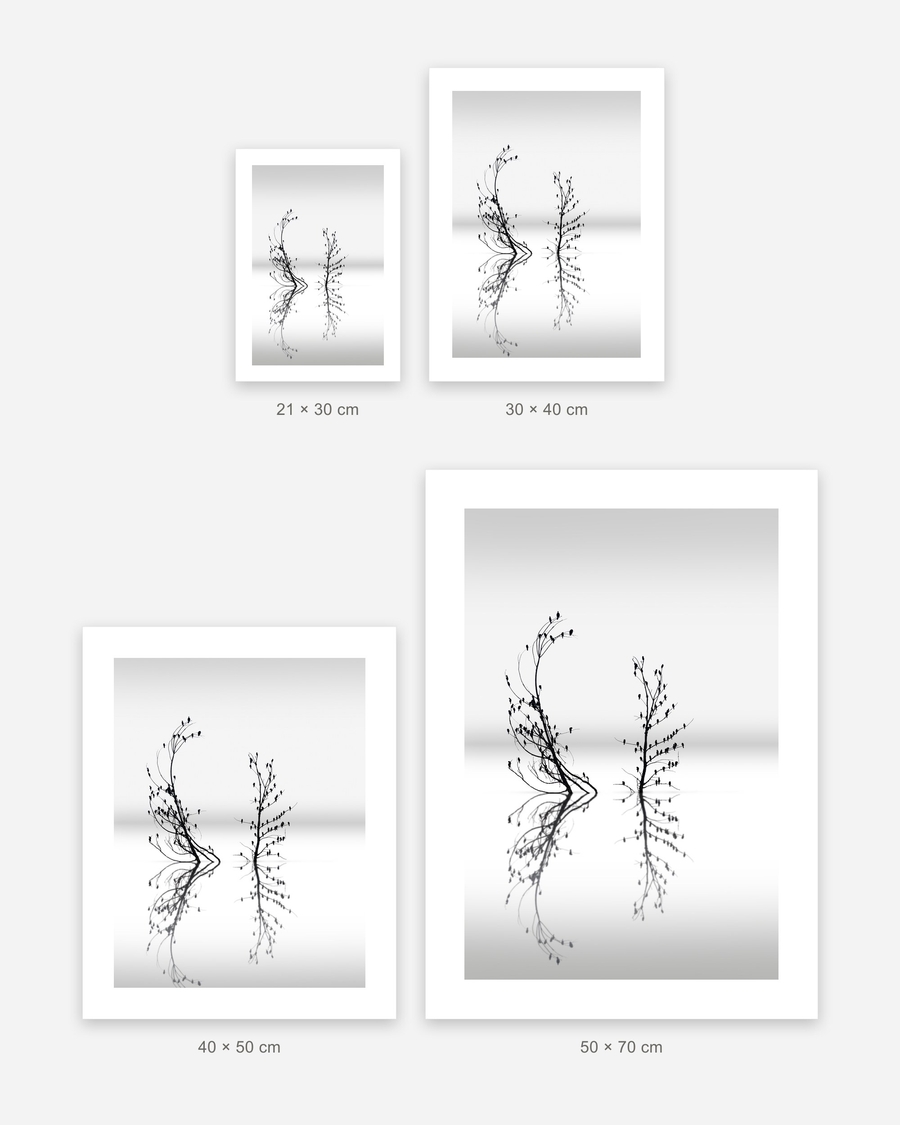 Birds on Still Water poster in 4 sizes, shown to scale: 21 × 30, 30 × 40, 40 × 50 and 50 × 70 cm
