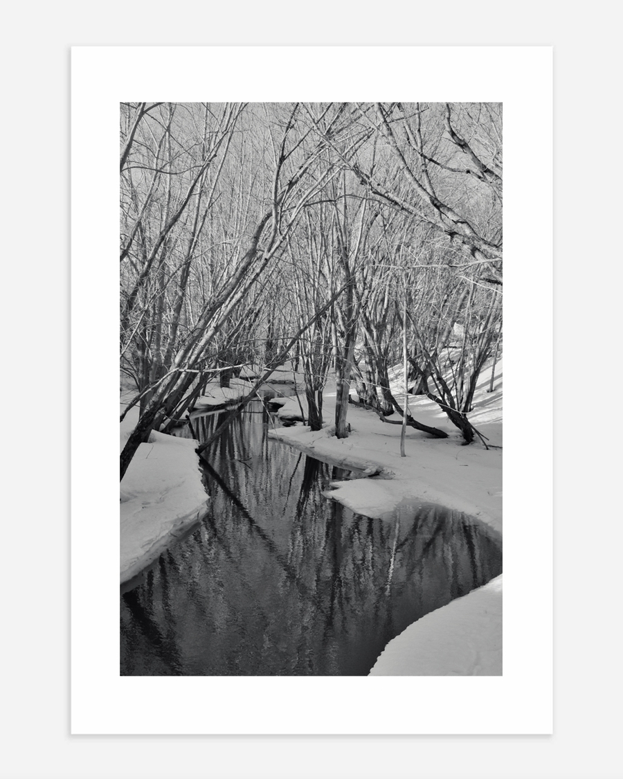 A poster of a Black and white winter stream through bare trees