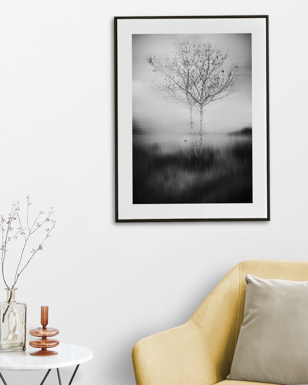 Birch in Haze poster in a slim black frame on a white wall above a yellow armchair