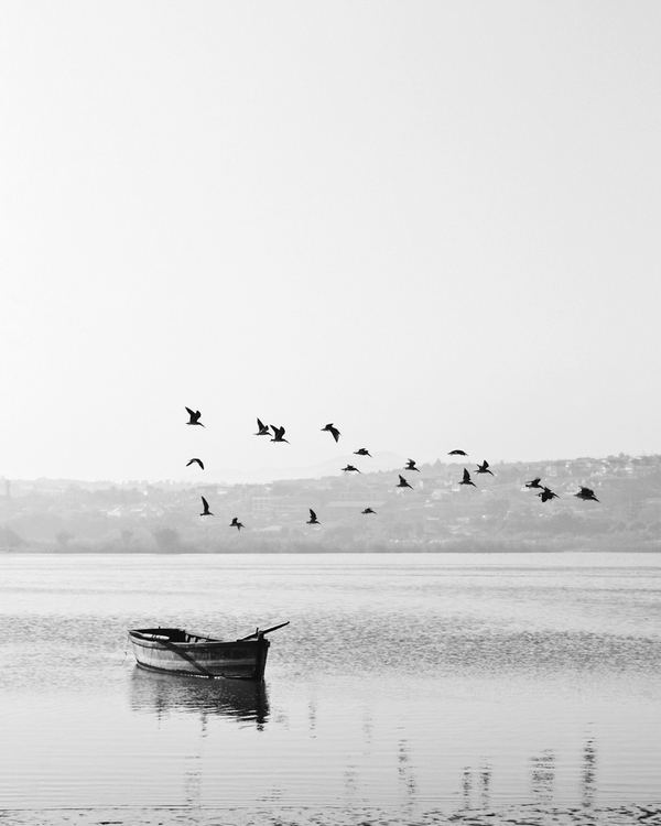 Black-and-white photo of a boat and flying birds over water