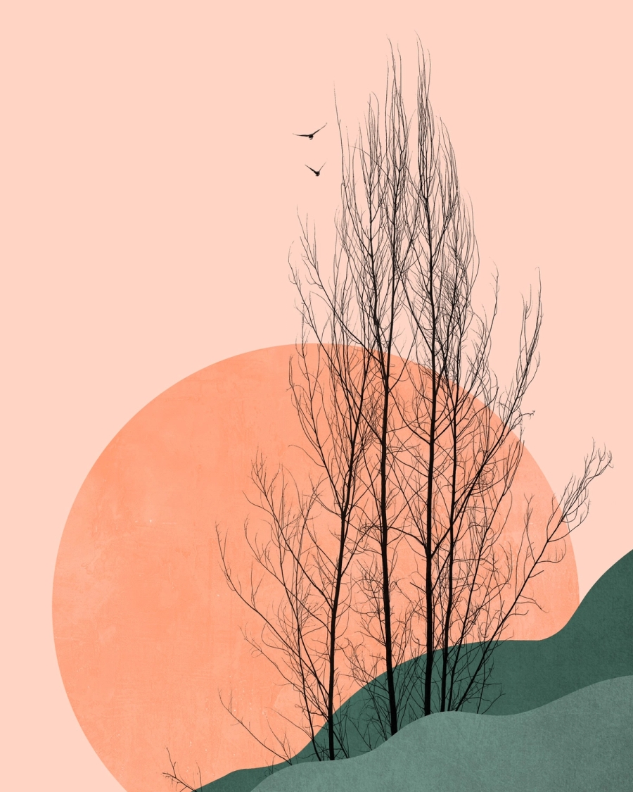 Illustration of bare trees in black silhouette against a peach sun, green hills and a pale pink sky