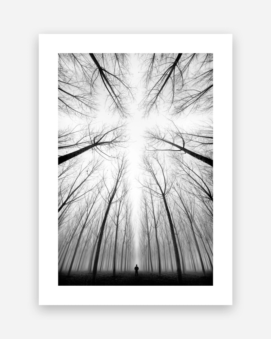 Beneath Bare Branches poster with a white border, unframed on a light gray background
