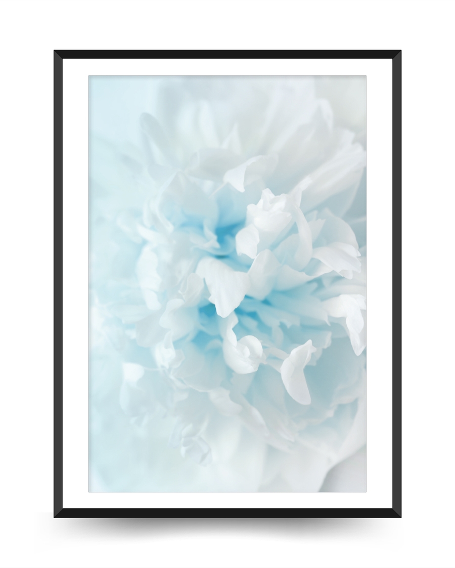 A poster of a Soft white and blue abstract floral shapes