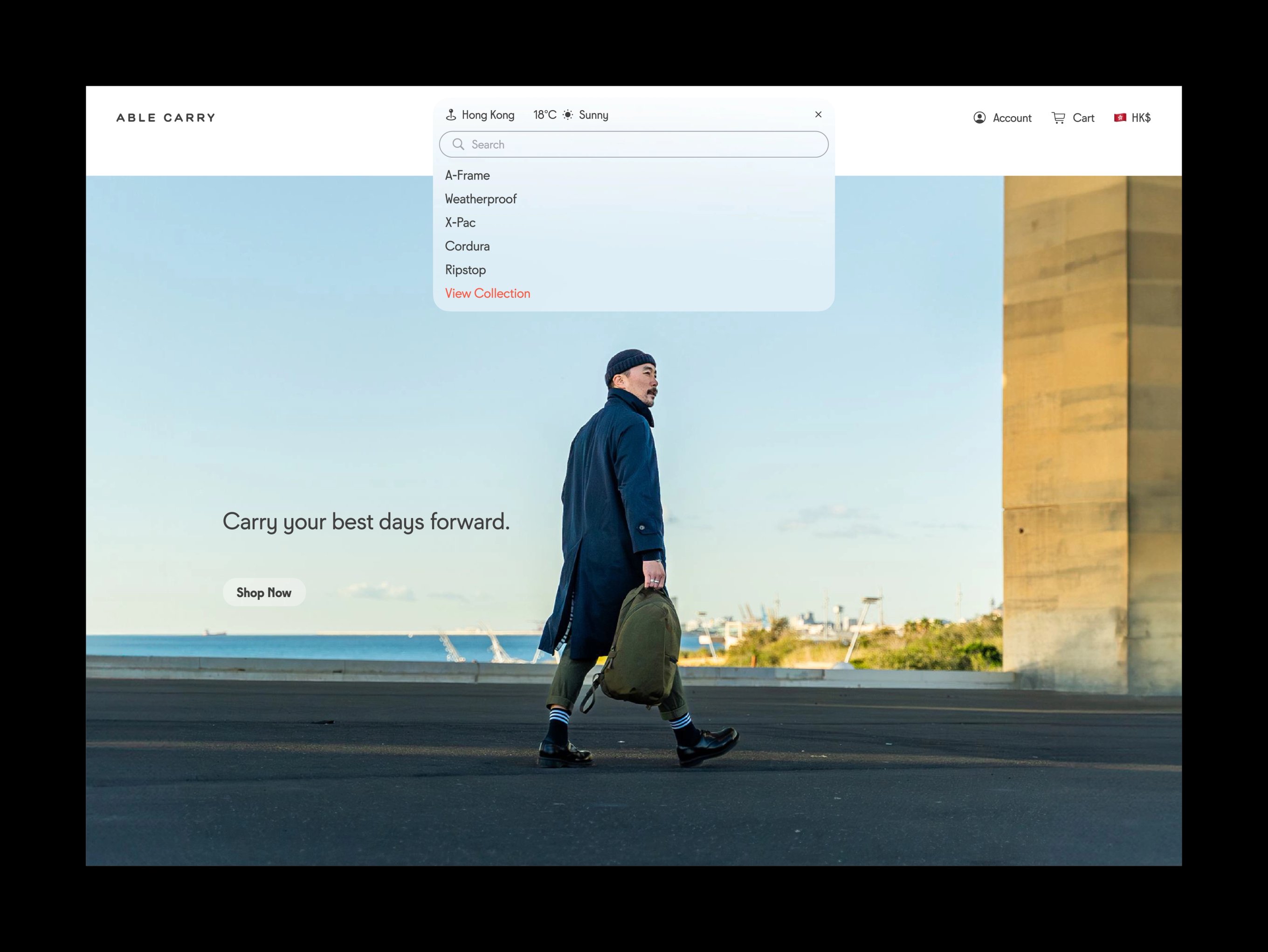 An image featuring Able Carry's search function design.