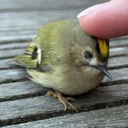 Blog Post Image