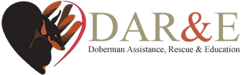 Profile image of Doberman Assistance, Rescue & Education