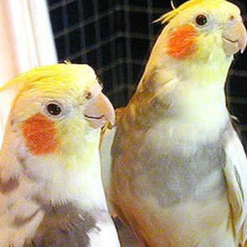 Blog Post Image