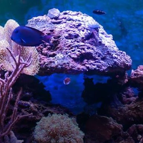 Blog Post Image