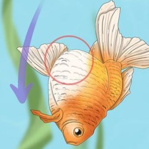 Blog Post Image