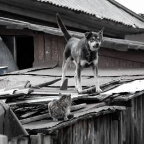 Blog Post Image