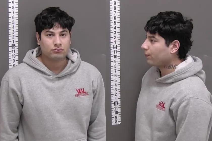 The Chilling Nexus of Animal Cruelty and Domestic Violence