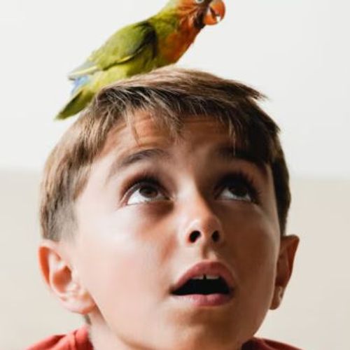 Blog Post Image