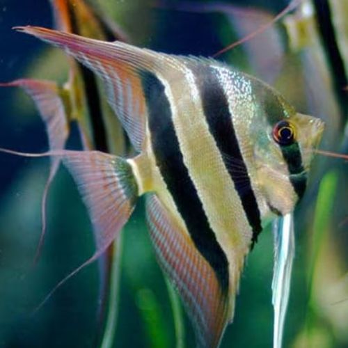 Blog Post Image