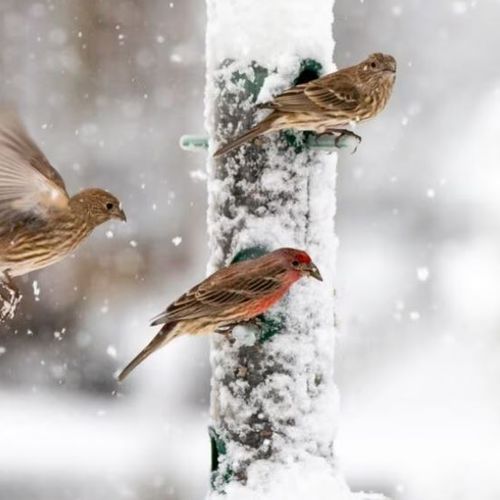 Blog Post Image