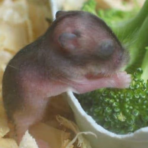 Blog Post Image