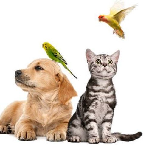 Blog Post Image