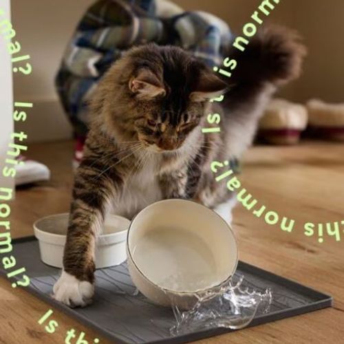 Blog Post Image