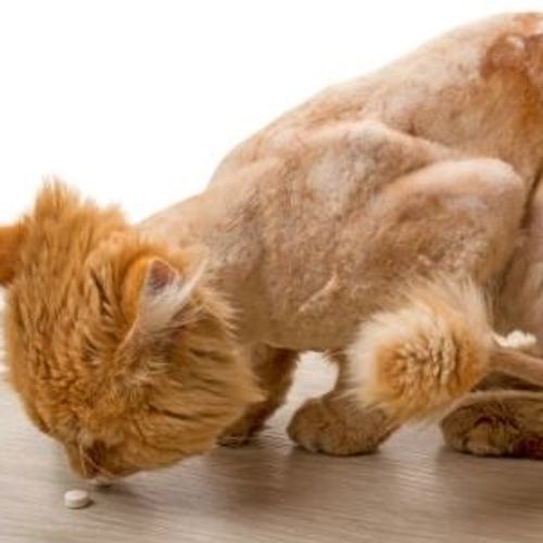 Blog Post Image