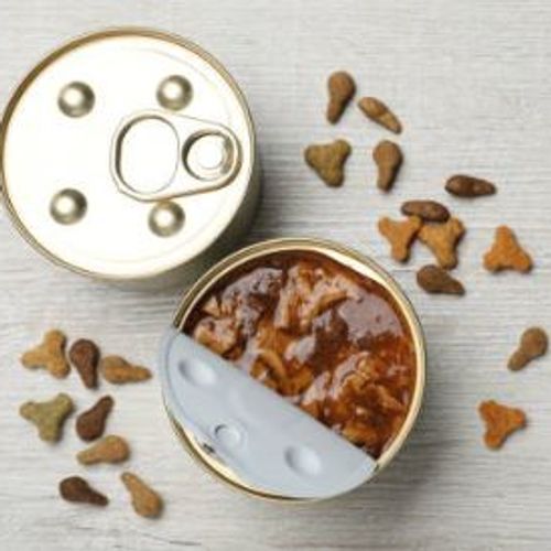 Blog Post Image